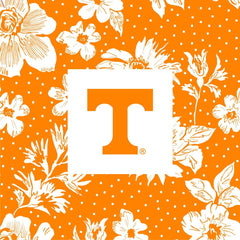 Small Stadium Crossbody